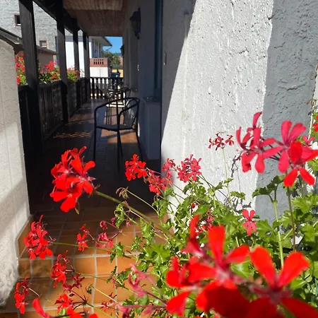 Gæstehus Gaestehaus Vis-a-vis Rüdesheim am Rhein