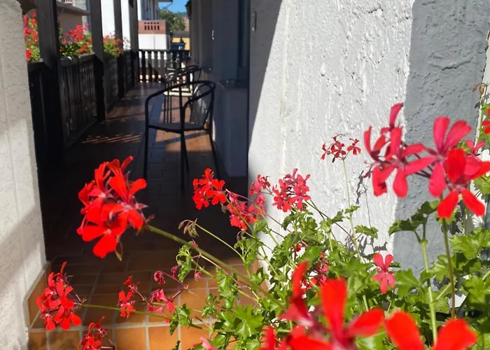 Gæstehus Gaestehaus Vis-a-vis Rüdesheim am Rhein